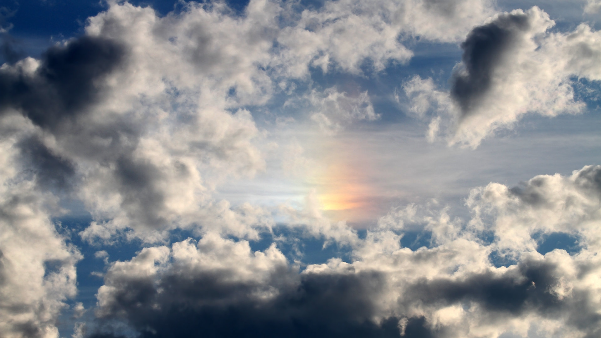 节奏掌控者，卡马文加从比利时足球到NBA季后赛的跨界传奇