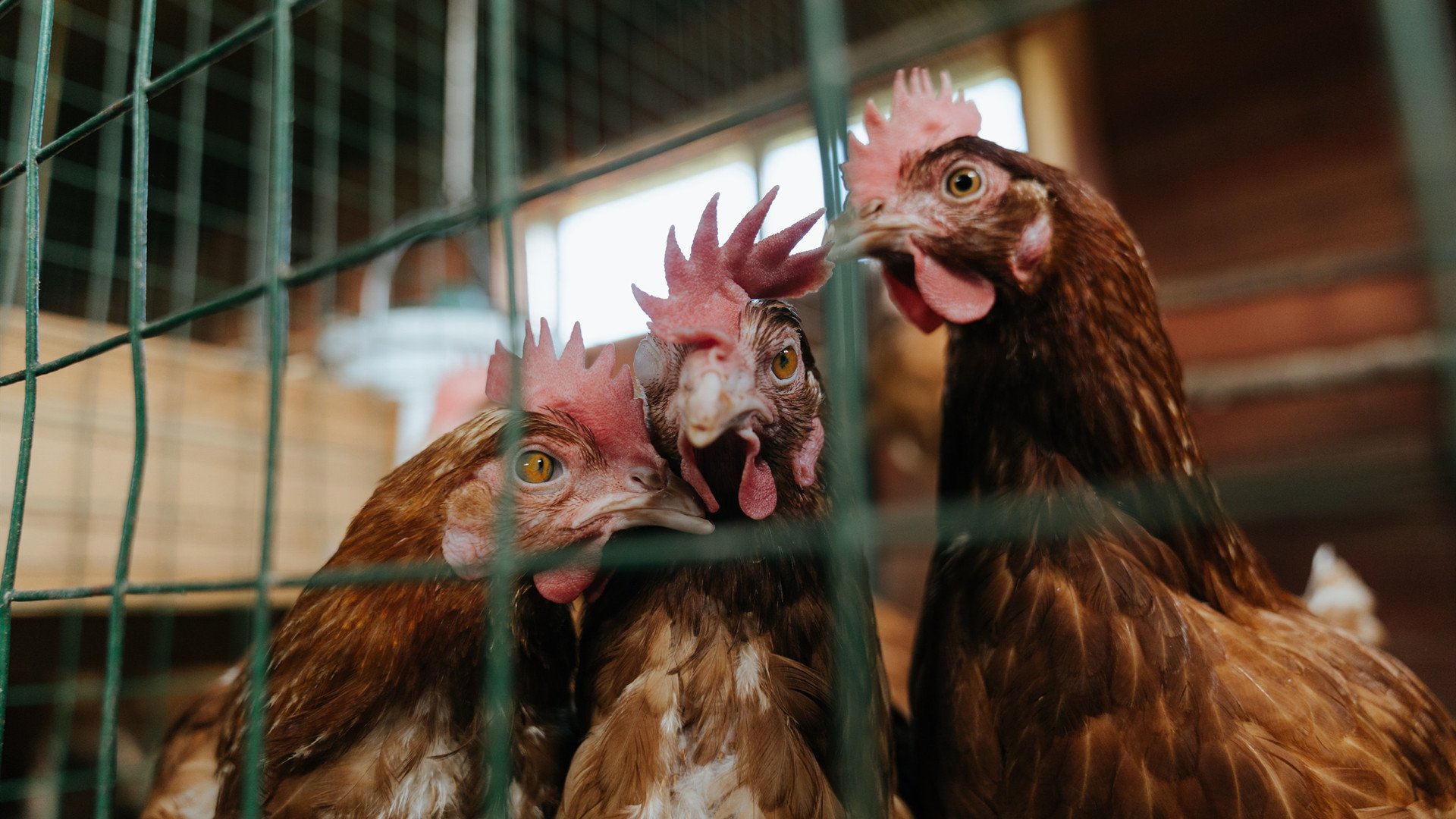 从诺坎普到多哈，当国家德比遇见生死战